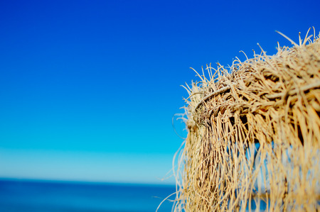 View of beautiful beach on sunny day idyllic natural outdoors background. Joy and peace seascape sunshine environmentの写真素材