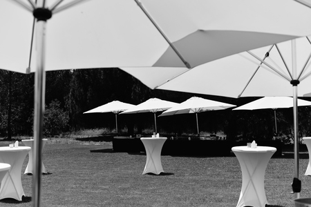 Beautiful arrangement for wedding ceremony event on the natural outdoors lawn park background. Flowers, tables, chairs, elegant romantic decoration details and luxury gathering lifestyleの写真素材
