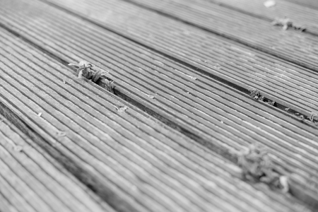 Wooden texture closeup surface outdoors backgroundの写真素材