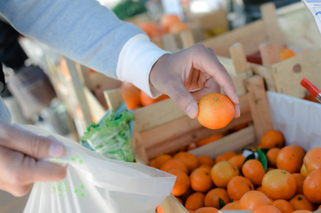 Close up on hand of a person choosing picking up tasty citrus fruits, buying seasonal ingredient fresh natural background. Healthy lifestyle, traditional nutrition local marketplace season choiceの写真素材