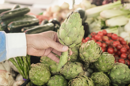 Artichokes. Close up on choosing picking up tasty artichoke, buying seasonal ingredient fresh natural background. Healthy nutrition lifestyle choice, traditional local season marketplace closeup imageの写真素材