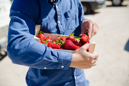 Person holding bag with healthy nutritious strawberries on groceries shopping market background, closeup top side view imageの写真素材
