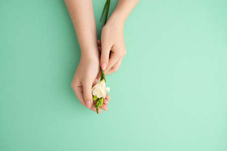 woman hands holding delicate soft white exotic flowerの写真素材