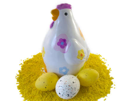 Chicken with eggsの写真素材