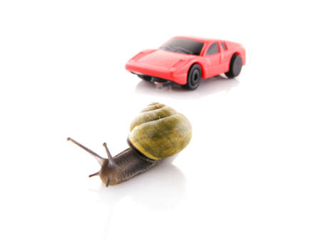Competition between snail and sports carの写真素材
