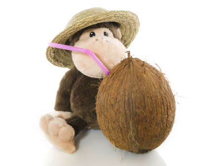 Monkey with hat and coconut with strawの写真素材