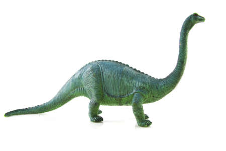 huge dinosaur isolated on a white backgroundの写真素材