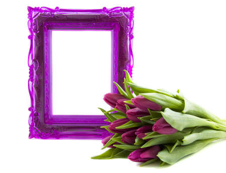 Purple ornament frame with purple tulips isolated over whiteの写真素材