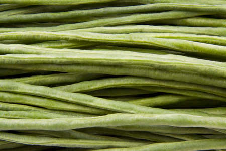 Long green beans can be used as backgroundの写真素材
