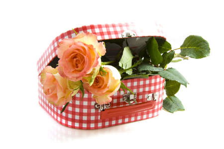 Rose in suitcase isolated on a white backgroundの写真素材