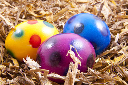 Three colorful spotted eggs in a nest for background use