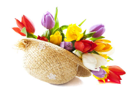 Colorful dutch tulips in straw hat over whiteの写真素材