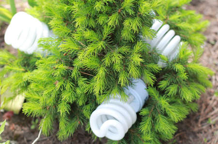 modern ecological energy-saving lightingの写真素材