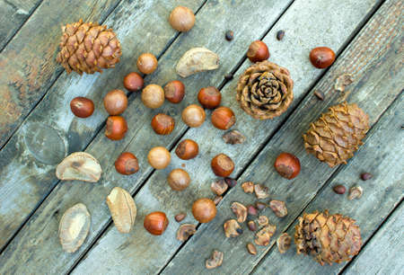 Concept autumn harvest mixture of nuts. Selective Focusの写真素材
