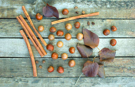 The concept of the collection of nuts. Autumn harvest of mixture of nuts on a wooden table