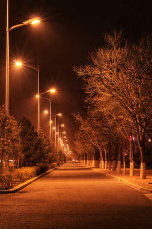 Trees under the street lamp