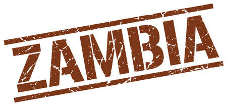 Zambia brown square stampのイラスト素材