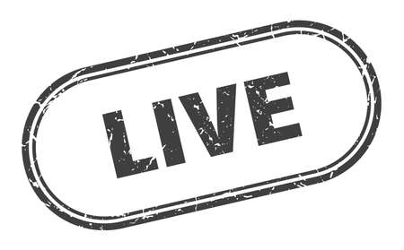 live stamp. live square grunge sign. liveのイラスト素材