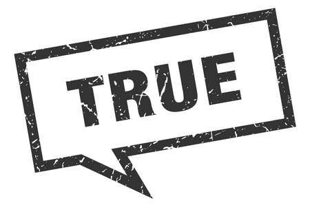 true sign. true square speech bubble. trueのイラスト素材