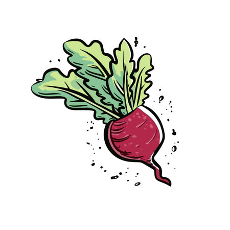 Beetroot. Beetroot hand-drawn illustration. Vector doodle style cartoon illustration
