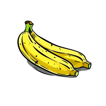 Banana. Banana hand-drawn illustration. Vector doodle style cartoon illustrationのイラスト素材