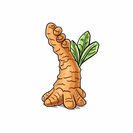 Ginger. Ginger hand-drawn illustration. Vector doodle style cartoon illustrationのイラスト素材