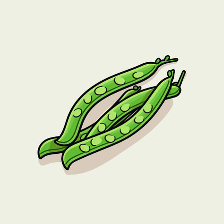 Green beans. Green beans hand-drawn illustration. Vector doodle style cartoon illustrationのイラスト素材