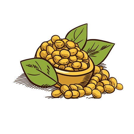 Soybeans. Soybeans hand-drawn illustration. Vector doodle style cartoon illustrationのイラスト素材