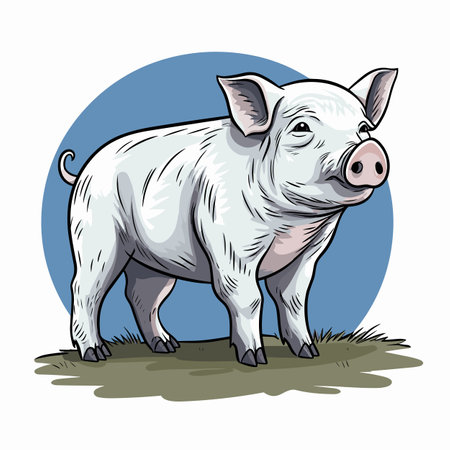 Hog. Hog hand-drawn illustration. Vector doodle style cartoon illustrationのイラスト素材