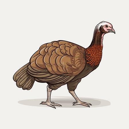 Turkey. Turkey hand-drawn illustration. Vector doodle style cartoon illustrationのイラスト素材