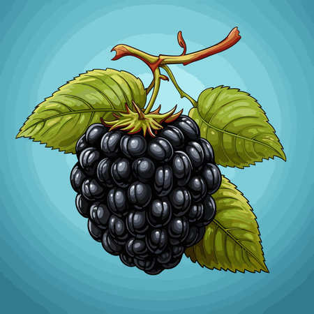 Blackberry hand-drawn comic illustration. Blackberry. Vector doodle style cartoon illustrationのイラスト素材
