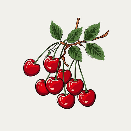 Cherry hand-drawn comic illustration. Cherry. Vector doodle style cartoon illustrationのイラスト素材