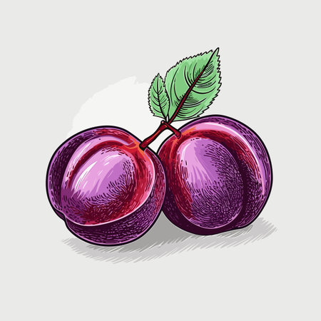 Plum hand-drawn comic illustration. Plum. Vector doodle style cartoon illustrationのイラスト素材