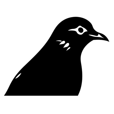 Dove silhouette. Pigeon black icon on white backgroundのイラスト素材