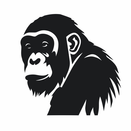 Chimpanzee silhouette. Chimp black icon on white backgroundのイラスト素材