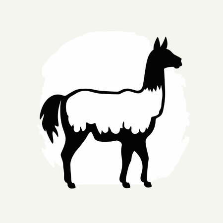 Llama silhouette. Llama black icon on white backgroundのイラスト素材