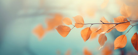 Beautiful yellow and orange autumn leaves on a branch on a sunny day in the park. Sunny indian summer day. Autumn bannerの素材