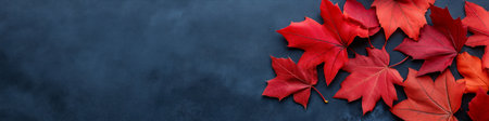 Autumn banner. Autumn background. Red leaves on dark blue slate with copy space