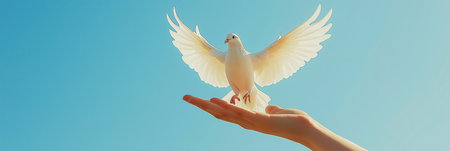 Hands releasing white dove into clear blue sky symbolizing peace and freedomの写真素材