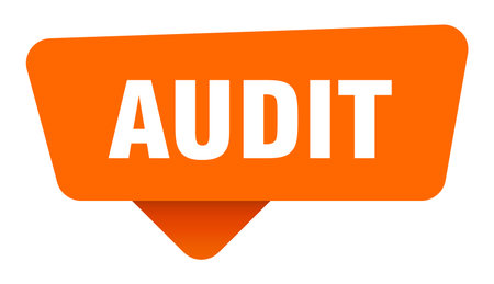 audit orange sign isolated on transpatent background. audit stickerのイラスト素材