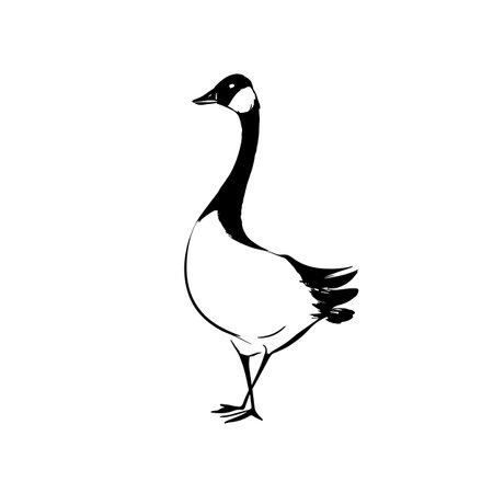 goose simple black and white line art vector logo. gooseのイラスト素材