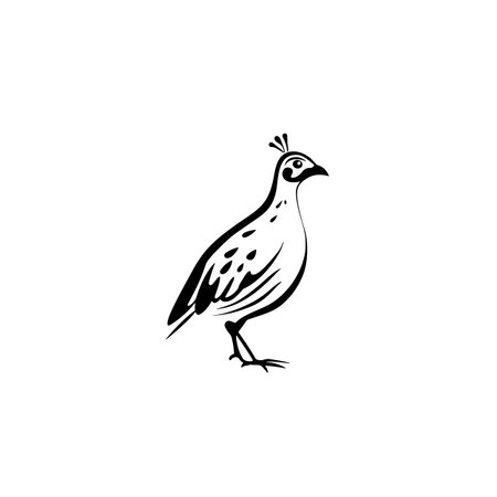 guinea fowl simple black and white line art vector logo. guinea fowlのイラスト素材
