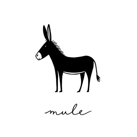 mule simple black and white line art vector logo. muleのイラスト素材