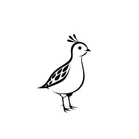quail simple black and white line art vector logo. quailのイラスト素材