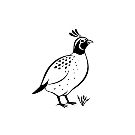quail simple black and white line art vector logo. quailのイラスト素材