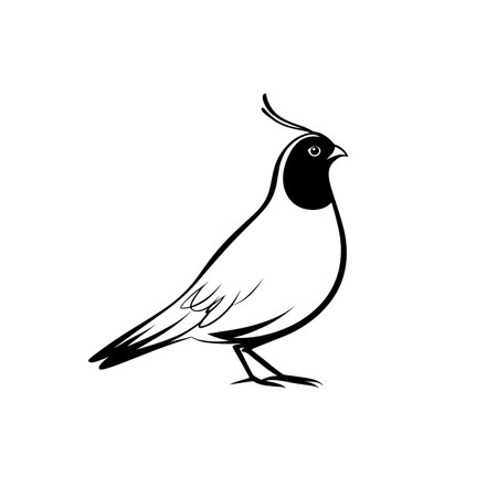 quail simple black and white line art vector logo. quailのイラスト素材