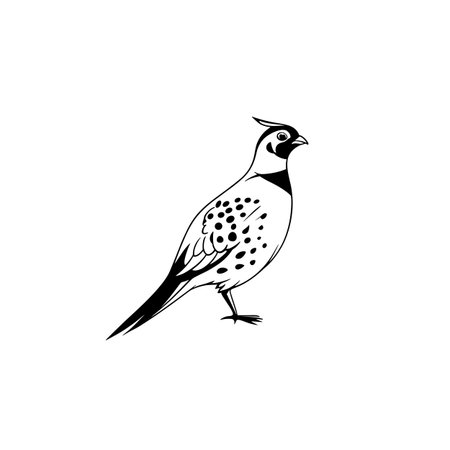 quail simple black and white line art vector logo. quailのイラスト素材
