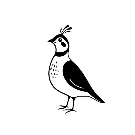 quail simple black and white line art vector logo. quailのイラスト素材