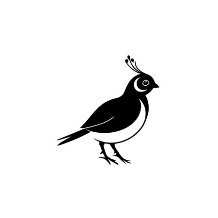 quail simple black and white line art vector logo. quailのイラスト素材