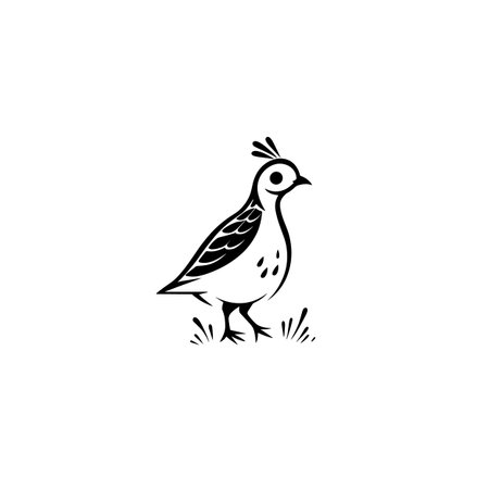 quail simple black and white line art vector logo. quailのイラスト素材